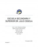 Espacio Curricular: Práctica docente 1