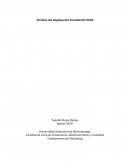 Panorama de Marketing Digital