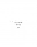 Relacionar principios básicos del fenómeno eléctrico a situaciones cotidianas