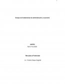 Ensayo de fundamentos de administración y economía