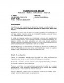 Brief nescafe