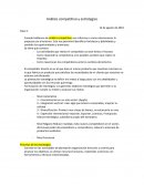 Análisis Competitivo y estrategias