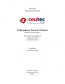 Proyecto ProcoRat Pedal de Distorcion