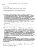 Nicolini y Schist: El carácter y perturbaciones