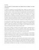 Ensayo de anfibios