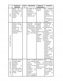 MARCO LOGICO PROYECTOS