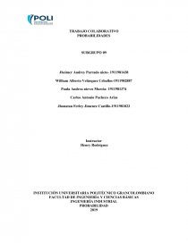 TRABAJO COLABORATIVO PROBABILIDADES. Página 1