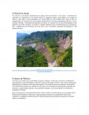 Coluvión la leona y Cenotes Mexico