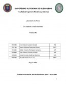 Reporte Estatica