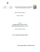 Desarrollo del sistema MOST