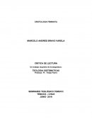 Cristología feminista