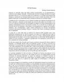 ENSAYO CHE-GUEVARA