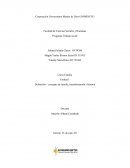 DEFINICION – CONCEPTO DE FAMILIA, TRANSFORMACION E HISTORIA