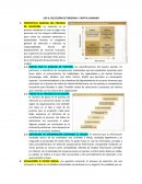 CAP 6: SELECCIÓN DE PERSONAL– CAPITAL HUMANO