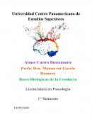 Cerebro y comportamiento