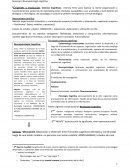 Neuropsicologia