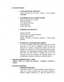 ESTUDIO DE LA ORGANIZACIÓN HUMANA