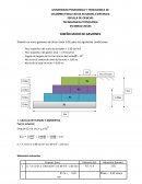 DISEÑO MURO DE GAVIONES