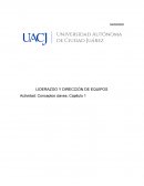 LIDERAZGO Y DIRECCIÓN DE EQUIPOS