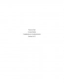 Proyecto final fundamentos de la administracion