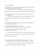 Proyecto Origami Modular