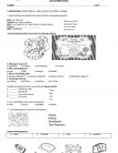 EXAMEN DE DIAGNÓSTICO INGLÉS PRIMER GRADO