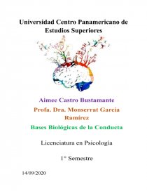 Cerebro y comportamiento. Página 1