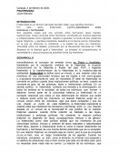 Cuerpo, alma y espiritu