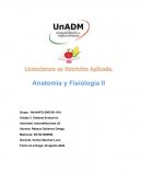 Unidad 3. Sistema Endocrino