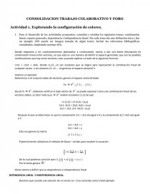 CONSOLIDACION TRABAJO COLABORATIVO Y FORO. Página 1