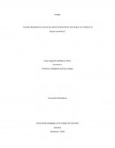 Manejo del gobierno nacional por parte del presidente Iván duque con respecto al Sector económico