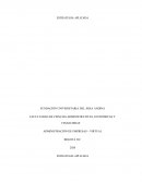 ANÁLISIS DEL PRODUCTO: PRECIO, DISTRIBUCIÓN Y ESTRATEGIAS DE COMUNICACIONES DESEADAS