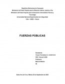 FUERZAS PÚBLICAS
