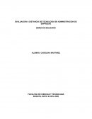 TRABAJO DERECHO SOLIDARIO