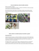 Formas de implementar material reciclable al paradero