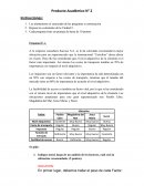 Propuesta de PA Nº2, Gerencia de Operaciones