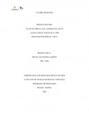 Cuadro sinoptico pruebas