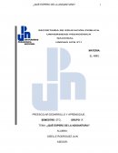 ¿Qué espero de la asigantura?