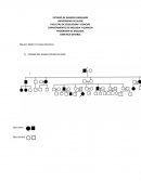 PROGRAMA DE BIOLOGIA GENETICA GENERAL