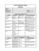 Planificación de Gestión de los Riesgos