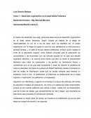 Teorías del desarrollo y la aplicación en su vida