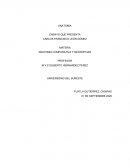 ANATOMIA COMPARATIVA Y NECROPCIAS