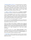 Resumen caso Singularu