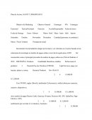 Gantt Marketing Digital