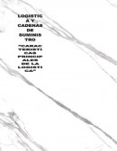 Caracteristicas principales de la logistica