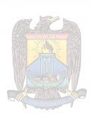 Ensayo Presupuesto Maestro