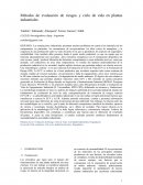 Metodos de evaluacion de riesgos y ciclo de vida en plantas industriales