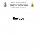 Foro seguridad de la nación por el GF. Vladimir Padrino López