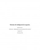 Sistemas de inteligencia de negocios