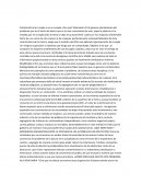 Caracteristica Se cumple o no se cumple ¿Por que?